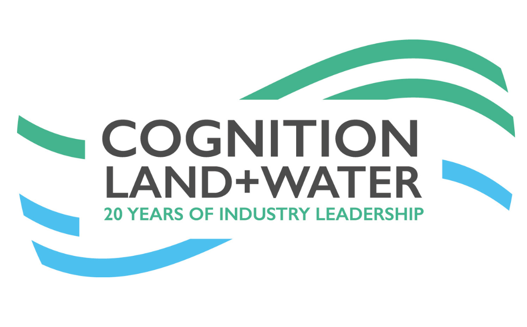 Celebrating 20 Years of Cognition